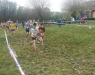 img-20190407-wa0017