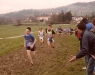 sam_8923
