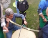 20150503_125438